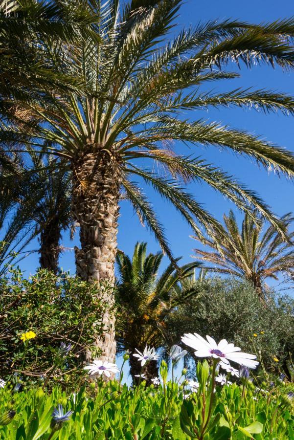 Carissa House In Crete Apartment Sitia  Bagian luar foto