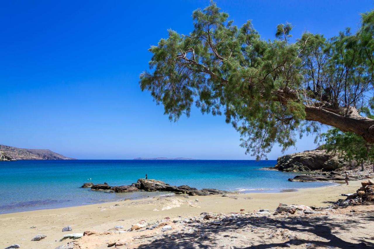 Carissa House In Crete Apartment Sitia  Bagian luar foto