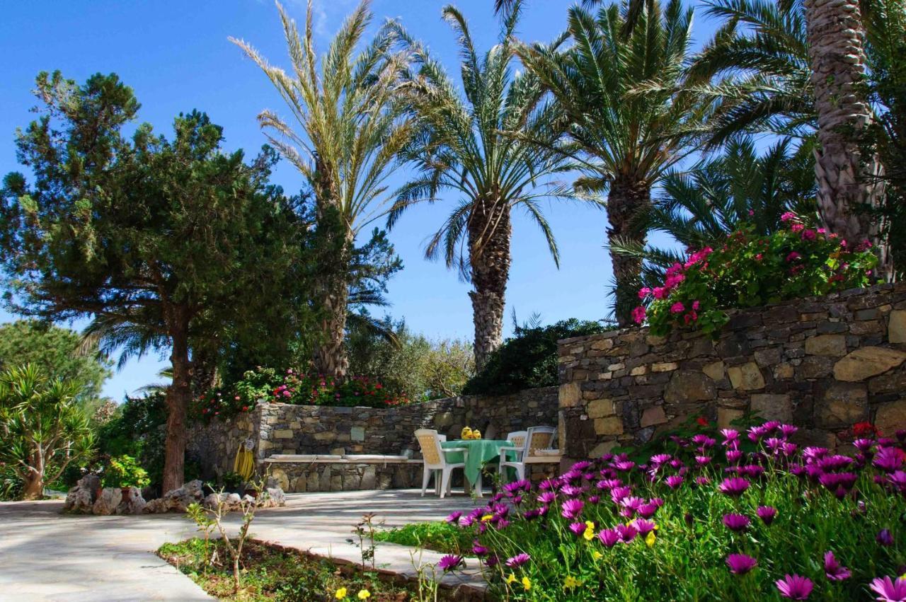 Carissa House In Crete Apartment Sitia  Bagian luar foto